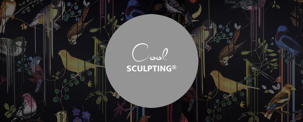 CoolSculpting, Dr. Deb, Plastische Chirurgie & Schönheitschirurgie in Frankfurt 