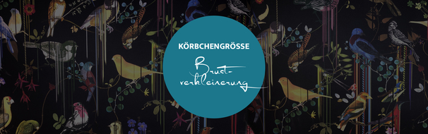 Körbchengröße Brustverkleinerung, Dr. Deb, Plastische Chirurgie & Schönheitschirurgie in Frankfurt 