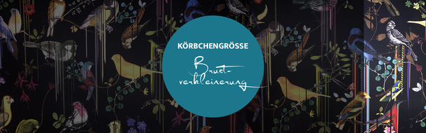 Körbchengröße Brustverkleinerung, Dr. Deb, Plastische Chirurgie & Schönheitschirurgie in Frankfurt 
