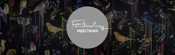 Fat dissolving injections, plastic surgery Frankfurt, Central Aesthetics by Dr. Deb
