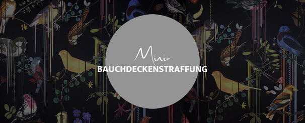 Mini Bauchdeckenstraffung, Dr. Deb, Plastische Chirurgie & Schönheitschirurgie in Frankfurt 