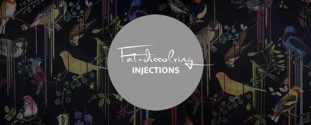 Fat dissolving injections, plastic surgery Frankfurt, Central Aesthetics by Dr. Deb