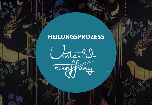 Heilungsprozess Unterlidstraffung, Dr. Deb, Plastische Chirurgie & Schönheitschirurgie in Frankfurt 