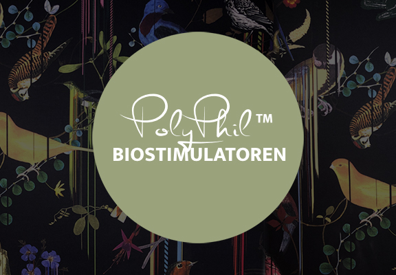PolyPhil™ (PhilArt), Dr. Deb, Plastische Chirurgie & Schönheitschirurgie in Frankfurt 